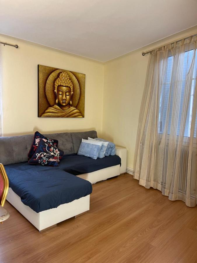 Appartement Le Cosy à Schiltigheim Extérieur photo