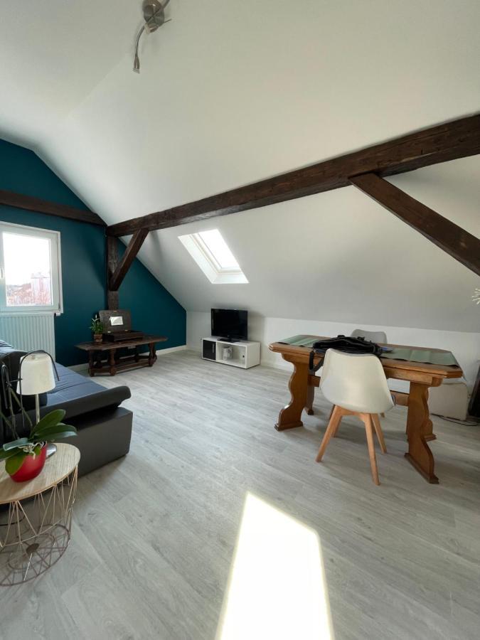 Appartement Le Cosy à Schiltigheim Extérieur photo
